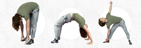 (image for) The Back Pain Miracle